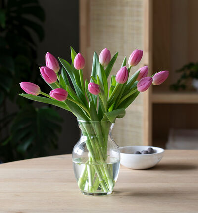 Rosa tulipanbukett liten